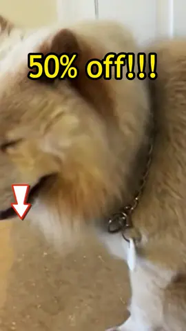 #tiktokshop #fyp #us #tiktok 