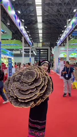 Nấm linh chi khổng lồ tại hội chợ lâm sản hồ Nam Trung Quốc #biêngiớiviệttrung🇻🇳🇻🇳🇨🇳🇨🇳 #hangraotrungquoc #hangraobiengioi #biengioiviettrung #khamphatrungquoc 