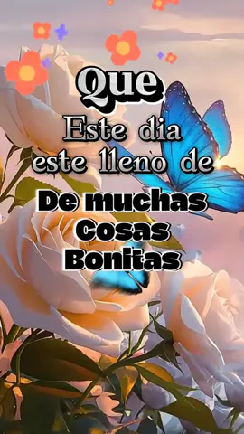 #CapCut #CapCutMotivacional #frasesyreflexiones #frases #motivacional #motivacion #reflexion #frasesmotivadoras #pensamientos #bendiciones🌹❤️🙌🏻🙌🏻🙏 #cosaspositivas #GraciasDios #fypp #frasestiktok #CapCut 