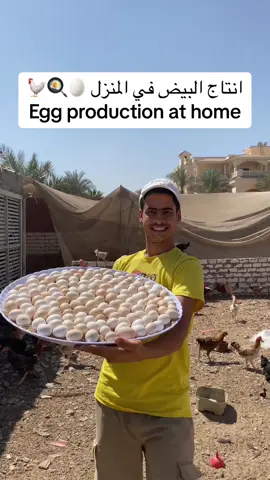 🥚🍳🐓