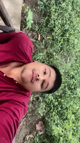 มาเอาความรักฉานไป 🥹#อ้วน 