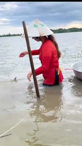 nước nổi miền tây#quynhnhumientay #cuocsonghangngay #xuhuongtiktok #quynhnhumientay67 #monanmientay #comnha 