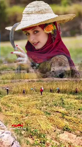 ايوب طارش هيامة الصراب 