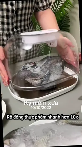 Máy giã đông tiện lợi cho ai hay quên mà k có thời gian chờ nè #kỷniệm #gicungco22 #giadungthongminh🌱 #giadungtienich #xuhuong 