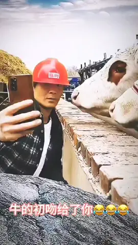 🤣 #fypp #fypviral #fypviralシ #doyin #douyin #doyinchina #mandarin #mandarinsong #ngakak #ngakakkocak #funnyvideos #lucu #lucu_ngakak #thailandtiktok #malaysiatiktok #singaporetiktok #lewatberanda 