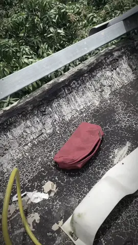 tiền hông mua được tất cả nhưng không có tiền thì vất vả thế thôi !!!#dongtien 