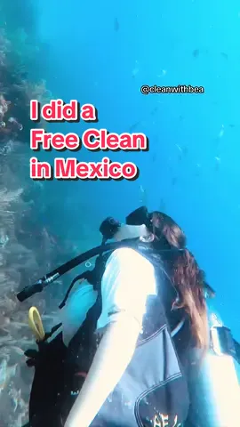 I cleaned a home in Mexico! And yes, Mila did complete her mission!! 🐾🙊 #bully #sisters #CleanTok #declutter #mexico 