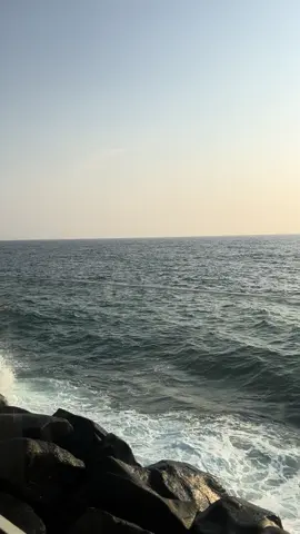 كلما أدبني الدهر أراني نقص عقلي وإذا ما ازددت علماً زادني علماً بجهلي. -- الإمام الشافعي #العلم #CapCut 