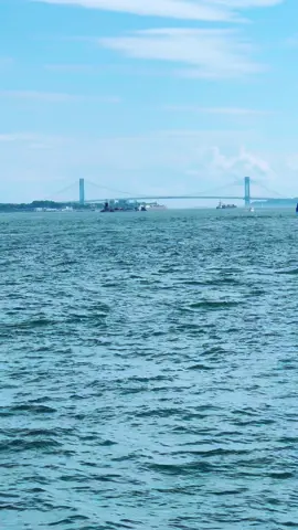 Just ✨🇺🇸❤️ #america #newyork #usa🇺🇸 #explorer #statueofliberty #fyp 