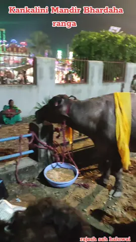 #Kankalini Mandir Bhardaha ranga Kankalini Temple is temple Nepal in Bhardaha Saptari #rajeshsah854 #Haluwai #saptariking #Nepal #serbia🇷🇸 #Croatia 🇭🇷#portugal🇵🇹 #Switzerland🇨🇭  #Luxembourg 🇱🇺#saptariking 6气