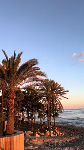 Golden hour in Marbella Old Town Beach ✨🌅  #playalavenus #travelspain #spain #Marbella #Andalusia #GoldenHourMagic #MarbellaVibes #OldTownAdventures #TravelDiaries #MarbellaOldTown #AndalusianCharm #HiddenGems #MarbellaMoments #Wanderlust #SunsetLovers #TravelSpain #ExploreMarbella #SpainPhotography  #SpanishStreets #TravelInspo #EuropeTravel #VisitSpain #TravelGoals #DiscoverSpain #TravelEurope #MarbellaLife #HistoricalTown #GoldenSunset #MarbellaSunset #TravelAndExplore #beachvibes #ocean #sunset #sea #marbella #winter #travelspain #MarbellaVibes #OceanWhispers #GoldenHourMagic #SunsetSerenity #spain #Andalusia #MarbellaOldTown #HiddenGems #TravelDiaries #AndalusianCharm #SunsetLovers #Wanderlust 