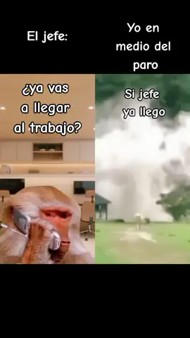Pero si llego 🥹😭 #humortiktok #humor #humorlaboral #funnyvideo #fyp #paratiiiiiiiiiiiiiiiiiiiiiiiiiiiiiii #fyppppppppppppppppppppppp #chistesgraciosos #parodetransportistas #trabajo #actitudpositiva #actitudoptimista
