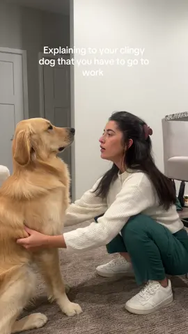 It breaks my heart every morning 😭❤️ #dogmomlife #dogmom #goldenretriever #clingypet #puppy 