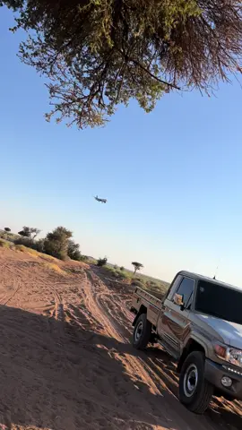 😎😎😂.                                                                                  #ماشاءالله #شاص #16 #505 