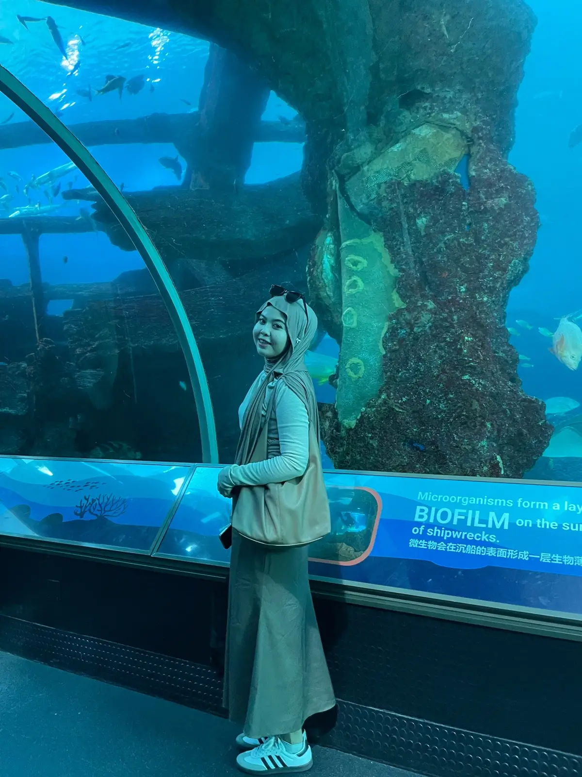 Menciptakan kebahagianku sendiri🫶🏻 #aquarium #fyp 