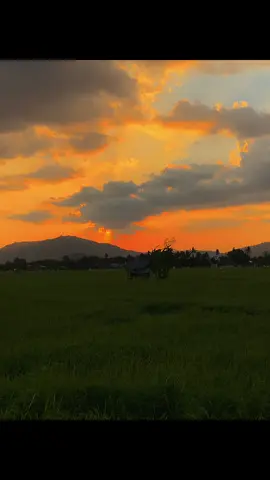 hari hari #somebodyspleasure  #senja #sunset #fyp 