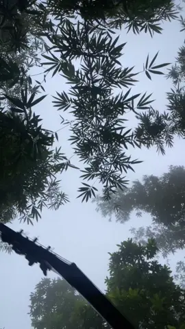 K garu - @JohnChamling  #fyp #kgaru 