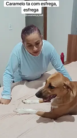 #cachorroscaramelo 