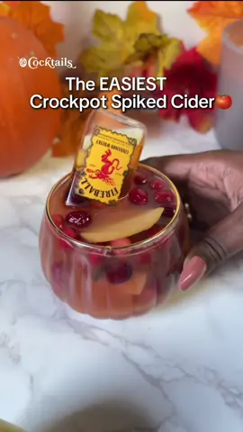 Spicing things up in the crockpot, one cup of cider at a time!🍎🍂A little spice, a little booze all season long!✨ Ingredients: -10 cups apple cider -1/4 cup brown sugar -1 tsp whole cloves -3 star anise -4 cinnamon sticks -2 apples, sliced -1 orange, sliced -1 cups cranberries -Individual fireball shots #cocktails #crockpot #fireball #cider #spickedcider #crockpotcocktails #crockpotrecipes 