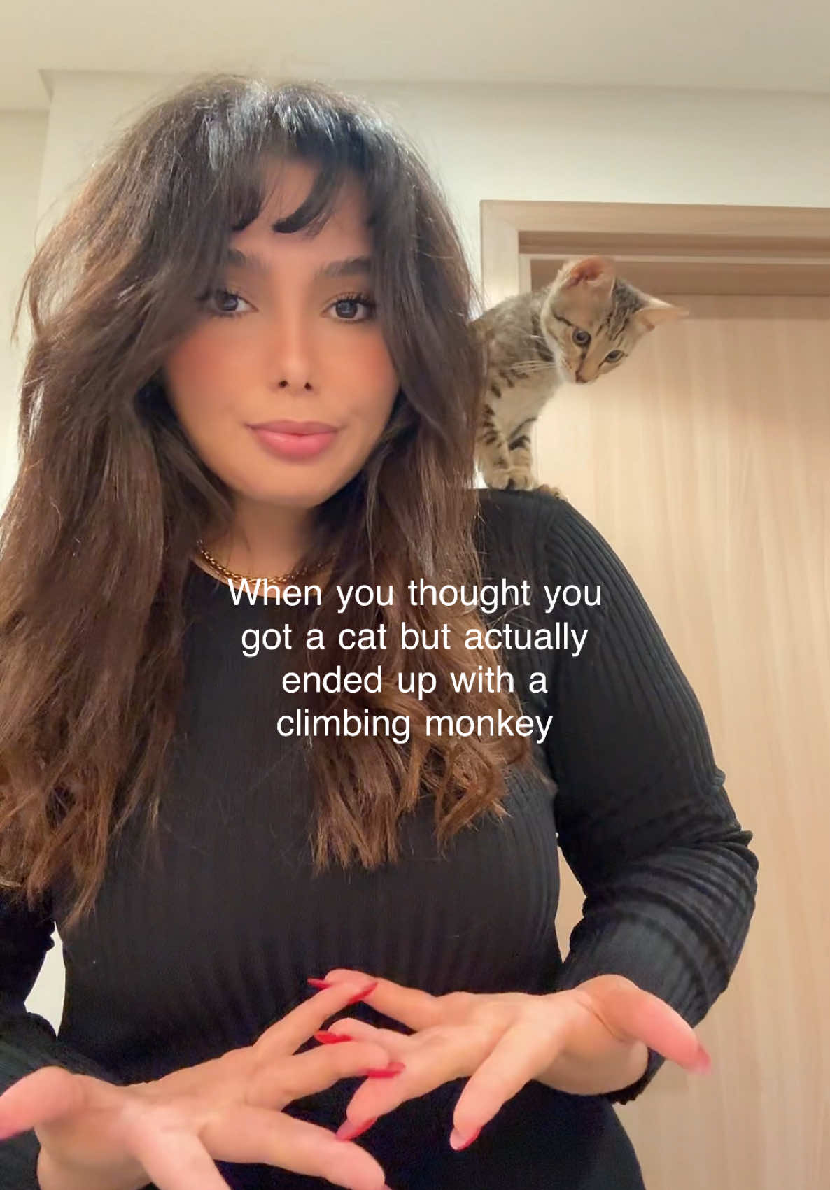 What to do! #girlcat #cat #funcat #peace 
