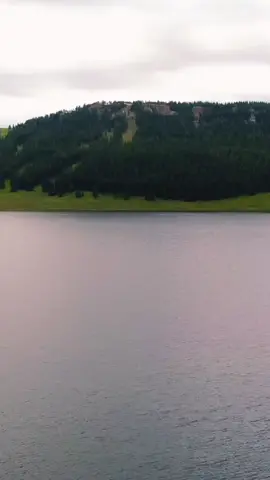 природа для видео велл велл велл #wellwellwell #природа #bazed #savehoi4 #newpopipo #wellx3 #well 