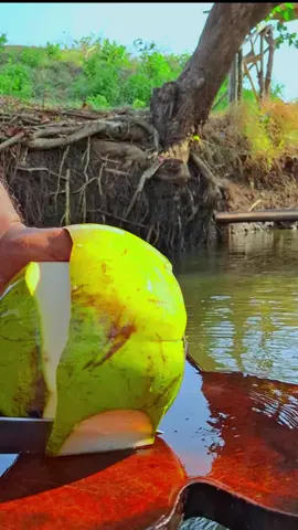 pengupasan kelapa diamond #coconutsutting #asmr #stisfying 