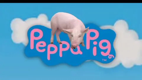 #peppapigedit #peppapig #peppacerdita #españ #eeuu🇺🇸 #miami #newyork #dsllastx #peppapigmemes #vira #viral_video
