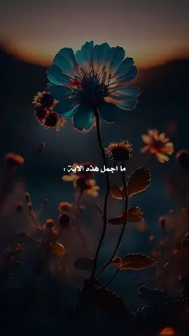 ولسوف يعطيك ربك فترضى#القرأن_الكريم_راحة_نفسية #مدارس #احاديث #foryour #تصميم #youtube @بدر المغربي راعي الغنم 🐑🌴🐓 @♥️طـ,ـيـ,ـوُبـٌـٌٌـٌٌٌـٌٌـٌﮩ♥️ 
