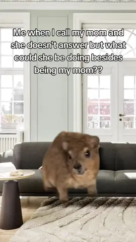 Mama?! #CapCut #meme #memetok #mom #relatable #relatablecontent #screaminghamster #foru #fypage #hamster 