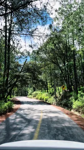 #tapalpa #tapalpapueblomagico #bosque #alejandrofernandez #jalisco 