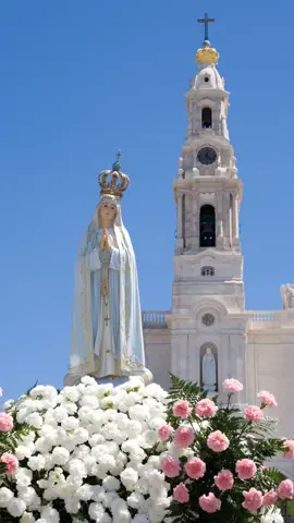 🇵🇹 🛐 #Fatima #OurLadyOfFatima #SanctuaryOfFatima #Pilgrimage #CatholicFaith #MiracleOfFatima #CovaDaIria #FatimaPortugal #HolySite #MarianApparitions #FatimaShrine #SpiritualJourney #ReligiousPilgrimage #Fatima2024 #ChapelOfApparitions #CatholicPilgrimage #FaithAndMiracles #FatimaExperience #PrayerAndFaith #FatimaPilgrimage 