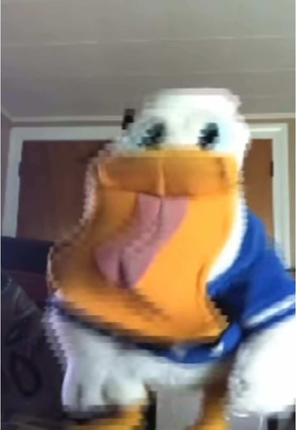 Donaldducc: Wierd! (Reuploaded)