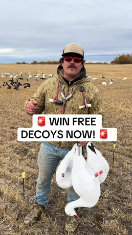 📌 Don’t forget, this is your chance to win 2 dozen V2F Canada silhouettes! All you have to do is answer the random question in the video and leave your answer in the YouTube comments section along with your Instagram handle. We’ll be doing this giveaway all season long during #ROADSHOW24 episodes, so don’t miss out! 🔥🎥 In this episode, we face tough conditions with no wind and plenty of sunshine, but that didn’t stop us from pulling off one of the wildest hunts of the season! We covered a big footprint in the field with a spread of 15 dozen V2FF Speck silhouettes, 5 dozen V2F Canada silhouettes, and 1 dozen FB Full Body Snow Goose decoys, which led to big results. An insane mixed bag of 75 birds, including mallards, pintails, Canada geese, and specklebellies. From mega duck flocks to flawless execution, this was one for the books. Watch how we overcame the odds for a day of pure waterfowl madness! #freedecoys #waterfowl #mixedbag #duckhunting #goosehunting 