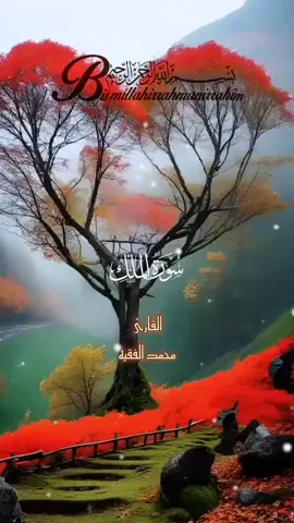 القران الكريم  #تبارك_الذي_بيده_الملك_وهو_على_كل_شي_قدير #fy #اللهم_صلي_على_نبينا_محمد #مكه_المكرمه #حبيبي_يارسول_الله #القارئ_محمد_الفقيه #ليلة_الجمعة 