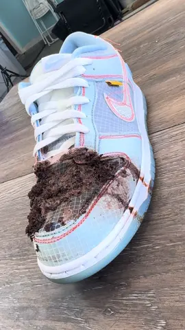 Shoelada Vs Chocolate cake 🍫🎂 #shoedoc #shoelada #fz150 #shoecleaner #150bucks #unionla #nikedunks 