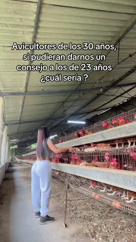 🐓❤️ #fyp #parati #tiktok #granjasabaoth 