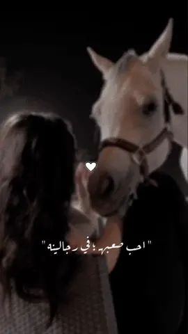 إِن لي قلباً في حُب الخيل قد فُتن🐎♥️ #اكسبلورexplore#ترند_جديد#ترندكم#fyp  #احب_صعبه_في_رجاء_لينه#بس_وينه #بيني_انا_وبين_مابينه#شيلات#شيله#ترند #خيل#خيل_وخياله#خيل_وخياله🐎#الخيل #خيل_عربي#خيل_عربي_اصيل🐎🐎#خياله #خيل_عربية#خيل_عربي_اصيل♥️🐎 #الخيل_من_خيالها#الخيل_العربي_الاصيل🐎  #الخيل_العربي#الخيل_العربية#حب_الخيل #الخيل_عشق_لاينتهي🐎❤️اذكرو_الله_💕  #حب_الخيل_لا_ينتهي#الخيل_عشق #الخيل_عشق_لاينتهي🐎#خيول_عربية  #خيول_عربية_اصيلة#خياله🐎#خيال #الشعب_الصيني_ماله_حل😂😂#هشتاقات #هشتاقات_تيك_توك_العرب#ترند_تيك #هشتاقاتي_الترند_المشهور#هشتاقاتي_الترند  #هشتاقات_تيك_توك_العرب_كسبلور#fypシ #ترندات_تيك_توك_جديدةاكسبلوووور  #ترندات_تيك_توك_جديدة#foryou  #طلعوه#طلعوهه_آكسبلور#طلعوني_اکسبلور  #يطلع_ترند#نطلع_ترند#يطلع_اكسبلووور  #يطلع_ولا_مايطلع#يطلع_بالحب#يطلع #explore#viral#fypシ゚viral#اكسبلور 