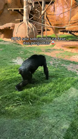 Esse video só melhora 🗣️ #tia #trend #trendingvideo #funny #funnyvideo 