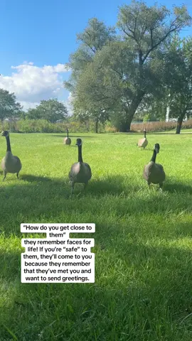 Surprisingly did not make this audio but they said song of the year