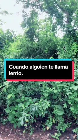 Amo el Running #CapCut #Running #motivaciondeportiva #podersuperior #corredores #runningman #carreras #runeros #focus2024 #determinacion♥️ #paratiiiiiiiiiiiiiiiiiiiiiiiiiiiiiii #motivationalvideo 