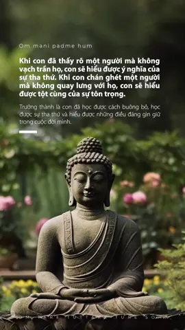 #phatgiao #ducphat #daophat #buddha #nammoadidaphat #binhyen #truyencamhung #ommanipadmehum #phatphap 