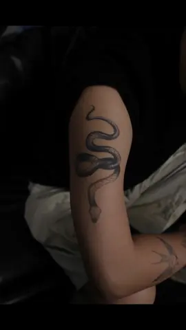 Stiker tato herbal ular#tato #stikertato #stikertatotemporer #tatoos #stikertatto