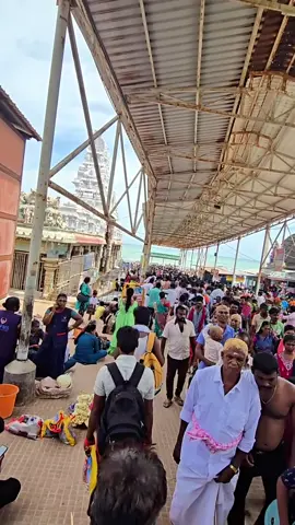 On regular days, around the Thiruchendur temple’s doors, 10,000 to 15,000 devotees pour. But during Skanda Shasti and festive cheer, Over 100,000 gather, drawn year by year. #jrnaturescapture #ohmydot #Muruga #poetrytravel #ThiruchendurMurugan #ThiruchendurTemple #ArupadaiVeedu #SkandaShasti #LordMurugan #MuruganDevotees #ThiruchendurSeashore #TamilPilgrimage #TamilDevotion #MuruganBlessings #foryou #foryoupage #fypviral #fyptrending #fyp #inspiredawesomelife #celebratelife 