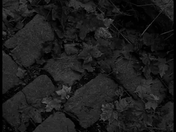 heat waves مترجمة  #اغاني #اغاني_مترجمه #اغاني_اجنبيه #اغاني_حب #song #songlyrics #songs #lyrics #songlyrics #dancewithpubgm #fyp #foryourpage #explore 