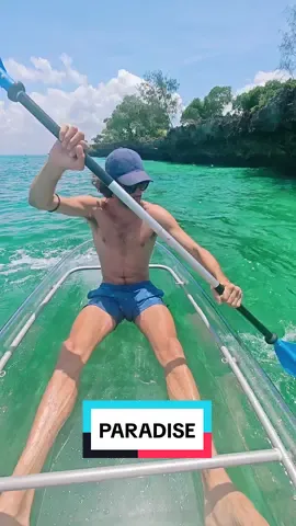 Not bad... 🤪🌴🌅