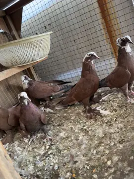 #أربيل #العراق🇮🇶❤️ 