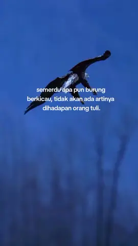 percuma ngomong sama orang tuli.#masukberanda #galaubrutal #fypp #4upage #4u #katakata 
