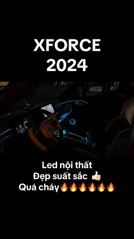 🗣️ Anh chị thích test led nội thất vào ban đêm, nay có xe làm ban đêm nên em mới có dịp quay video lại cho a/c xem. Chứ bth toàn quay ban ngày không có thấy đẹp 🥰 #xforce #xh #led_noi_that🔥 