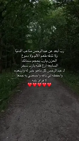 #محبوبي #explore #fyp #viral #foryou #عبدالرحمن #الهاشتاقات_مالها_داعي #صدقة_جارية #قران_quran 