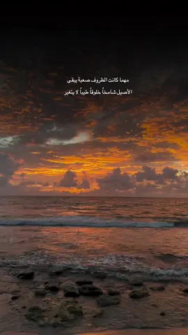 #CapCut #عبارات 